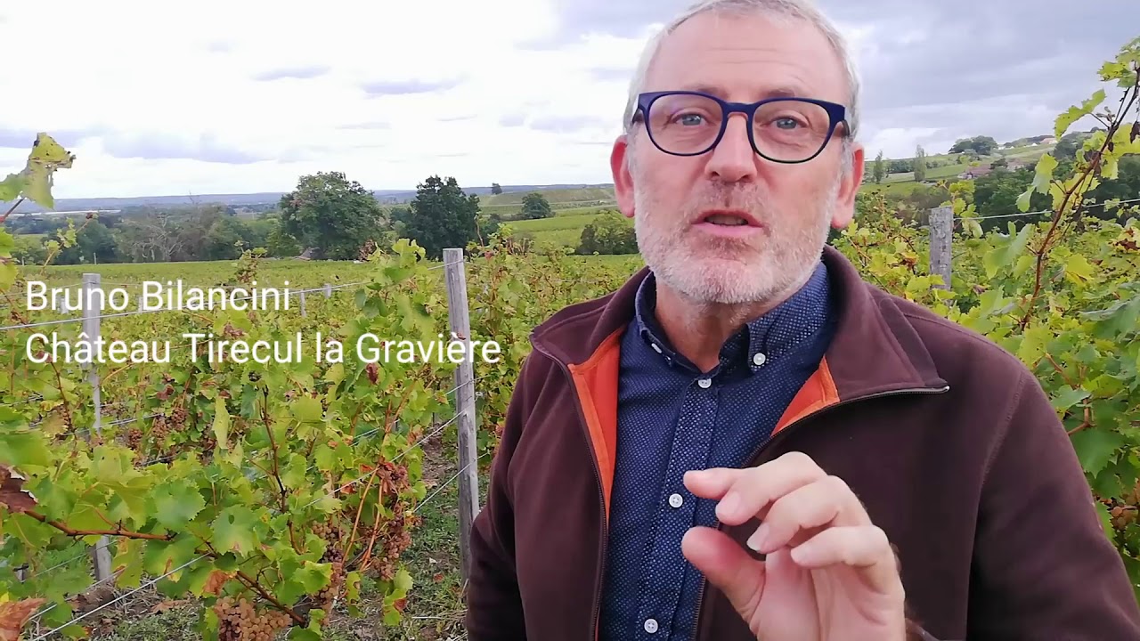 Monbazillac : une premi&egrave;re trie pour raisins passerill&eacute;s
