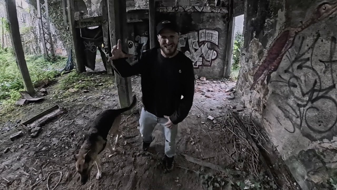 Chaotic Circus – Revival (Official Music Video)