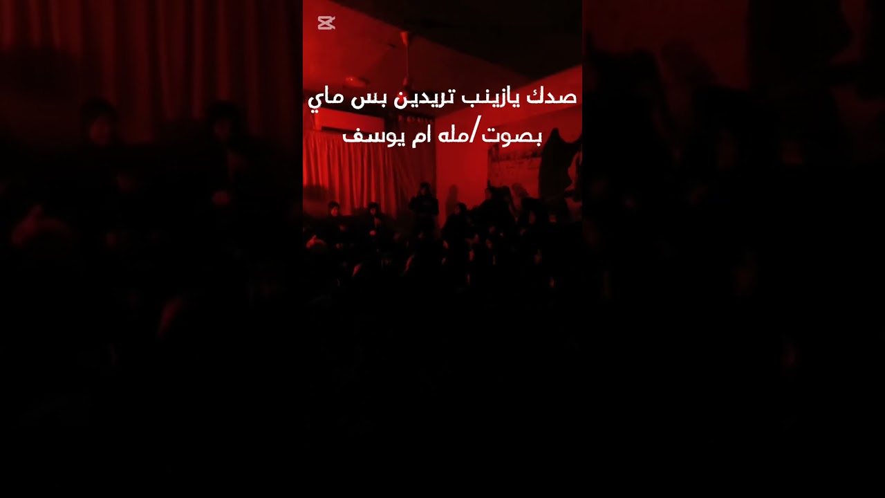 صدك يازينب تريدين بس ماي//بصوت مله ام يوسف
