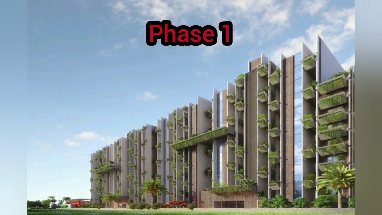 Phase 1