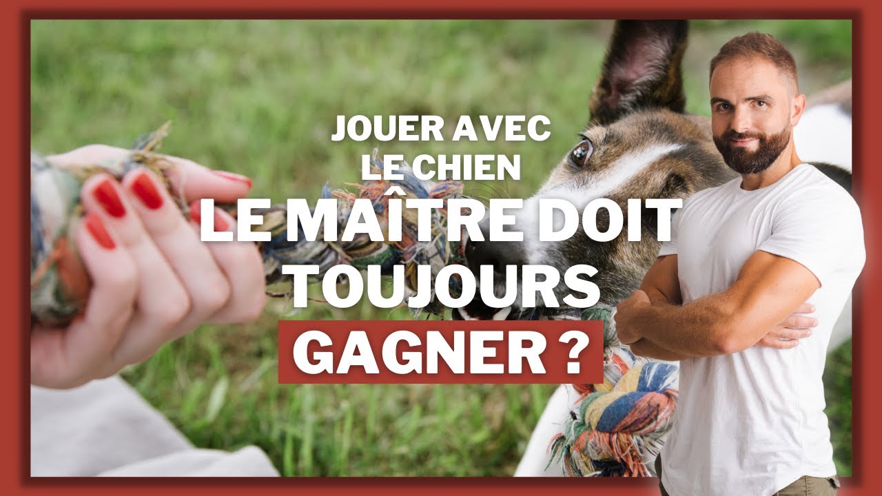 Le maître doit toujours gagner lorsqu'il joue avec son chien ?