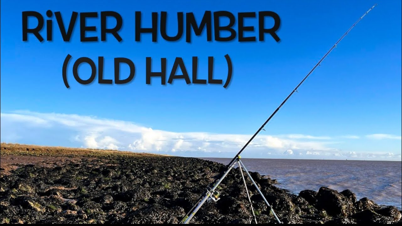 River Humber fishing
