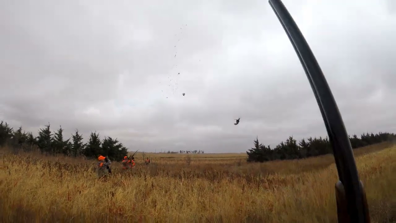S. Dakota Pheasant Open 24 (Saturday)