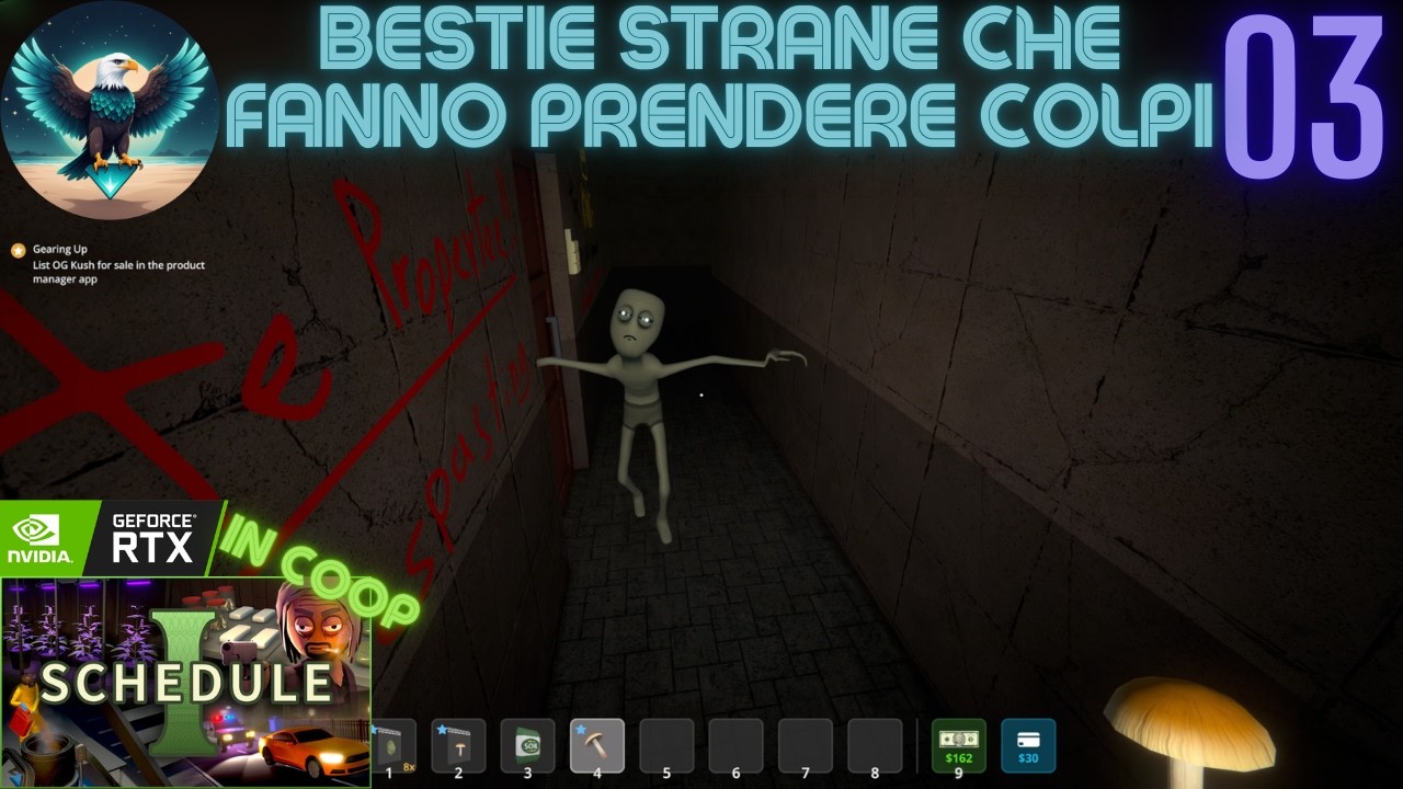 Brutte 