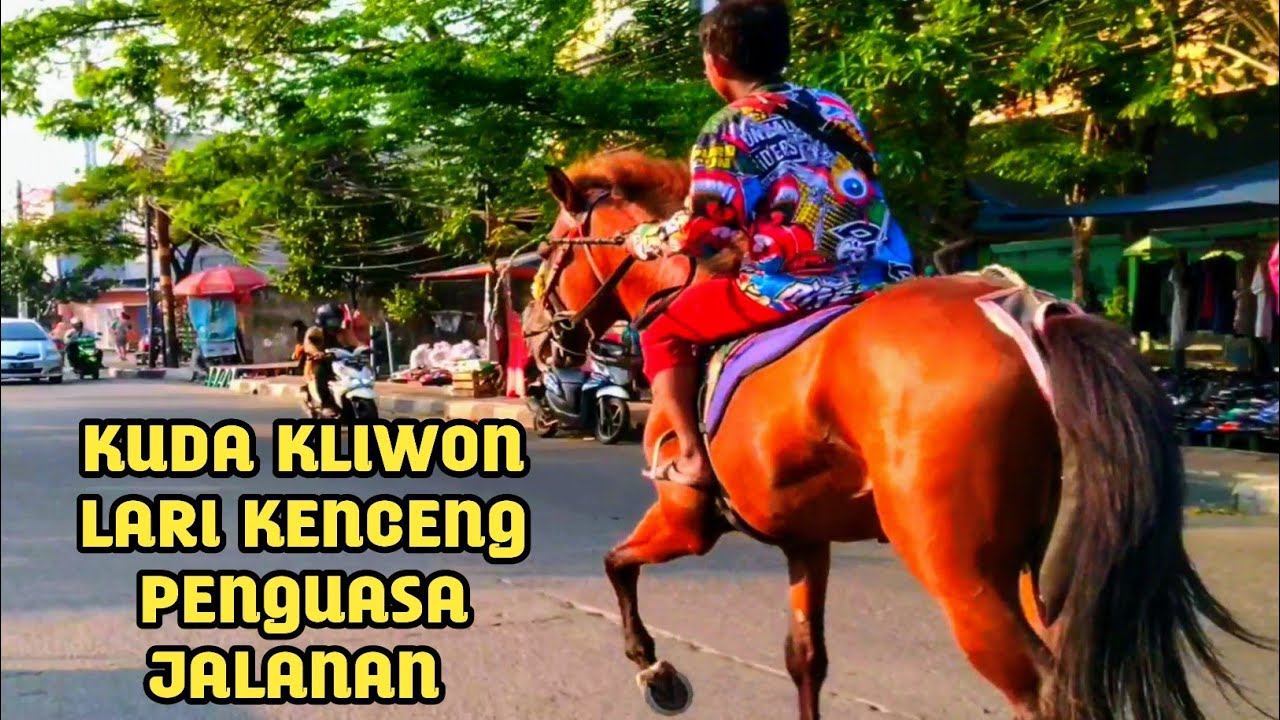 KUDA KLIWON LARI KENCENG DI JALANAN