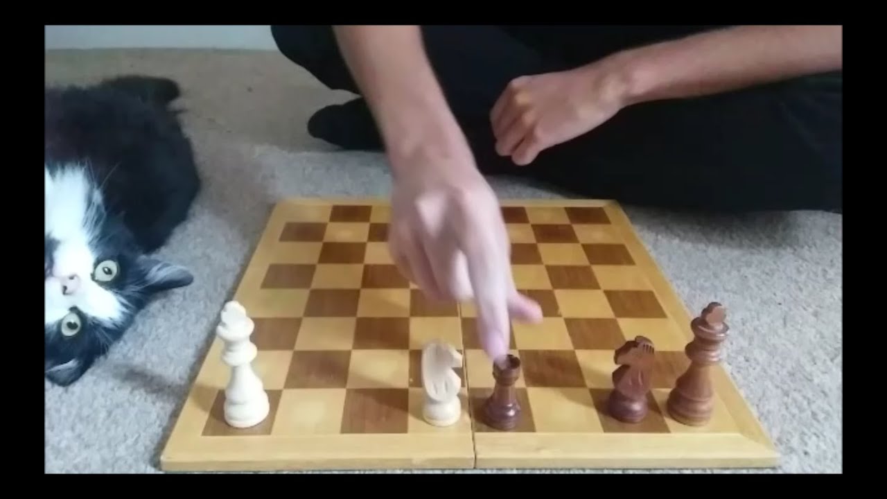 1D Chess
