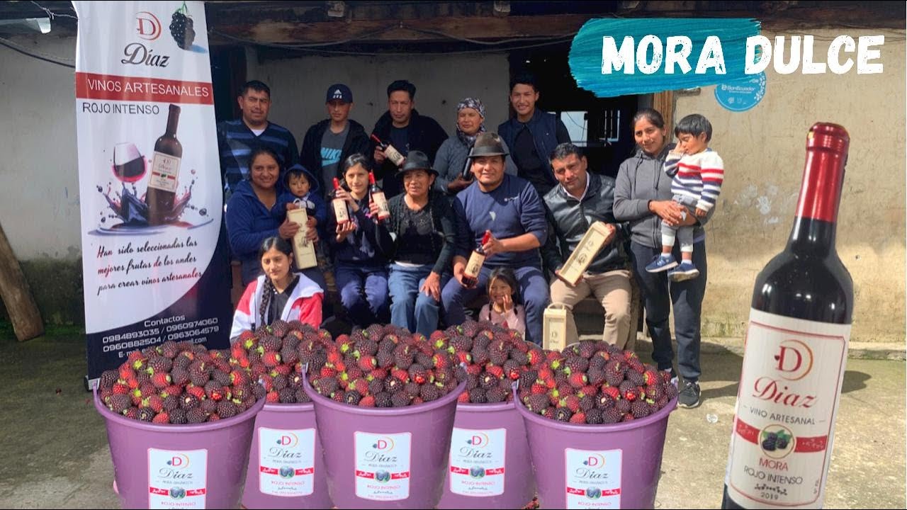 Esta bella FAMILIA nos invitó a COSECHAR MORA 🍷 - Josué y Eli