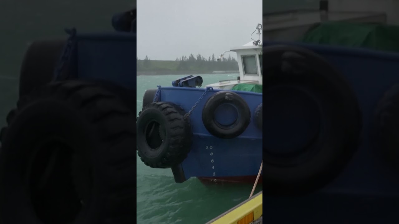 Violent Winds Whip Coast of Japan as Typhoon Bavi Migrates to China #shorts