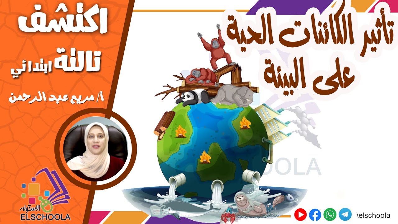 تأثير الكائنات الحية على البيئة | اكتشف تالتة ابتدائي | الاسكوله