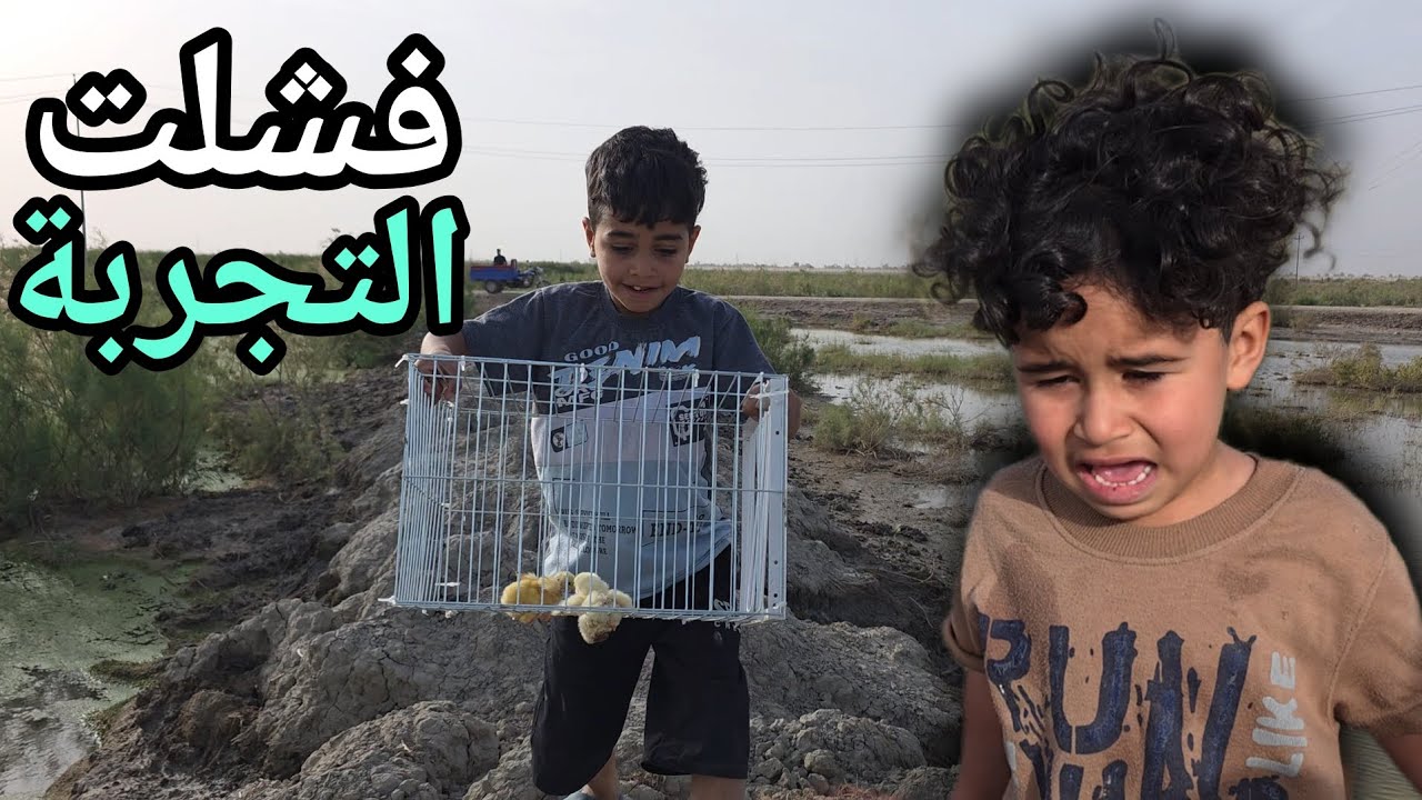 تجربة قفص صيد الطيور😱 صاد عصافير صغار🐦
