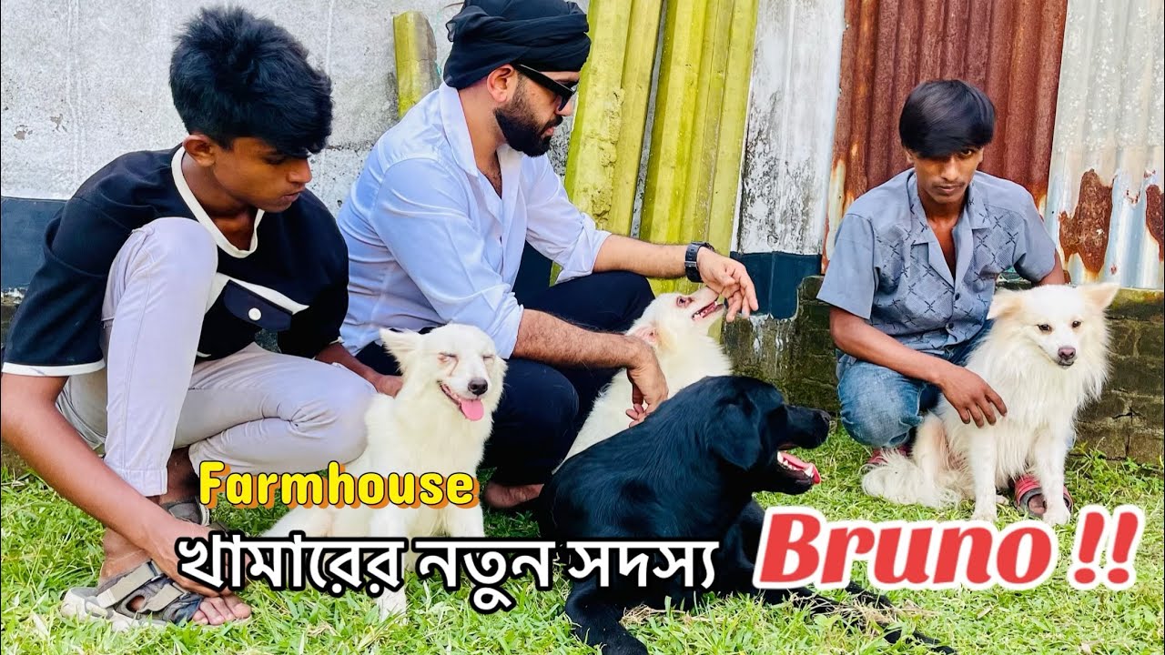 খামারের নতুন সদস্য Bruno | Vanilla, Bond, Jessica & Bruno | Ovi’s Farmhouse | Aqib Asif Trading | 