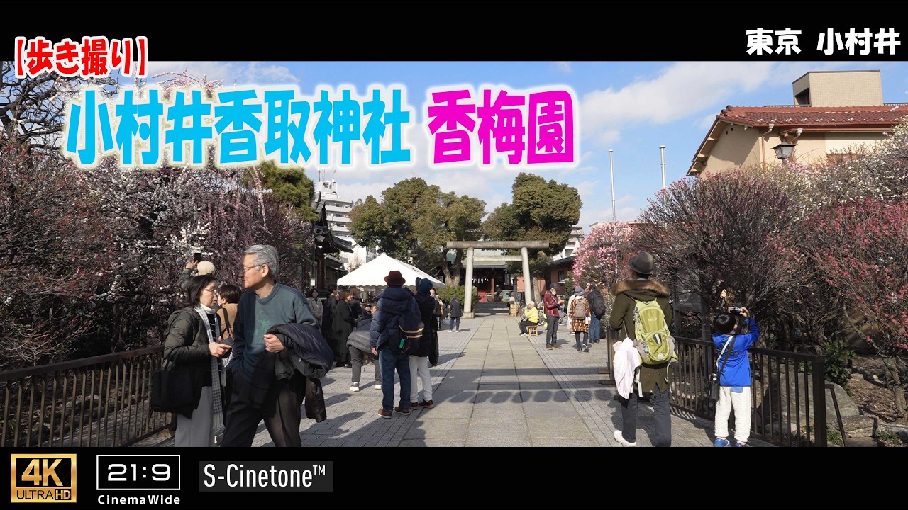 【歩き撮り】2026 小村井香取神社 香梅園@東京 小村井 ４K  (21:9)  Tokyo walking video