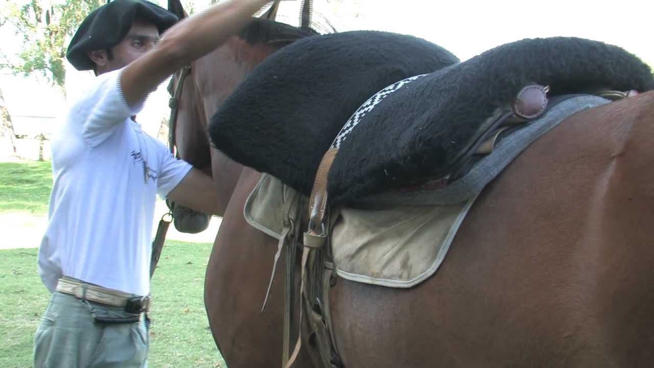 Gaucho Horse Saddling