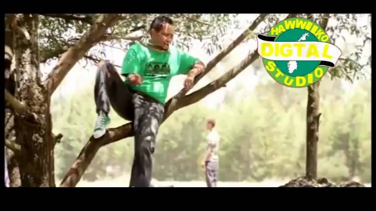 Abush Zeleke New Oromo Song Deemii Naraa