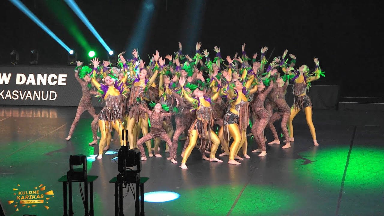 VKK Tantsutrupp Katariina - Vihmametsa maagia ❤️😍 Täiskasvanud Show Dance | KK GRAND FINALE 2025