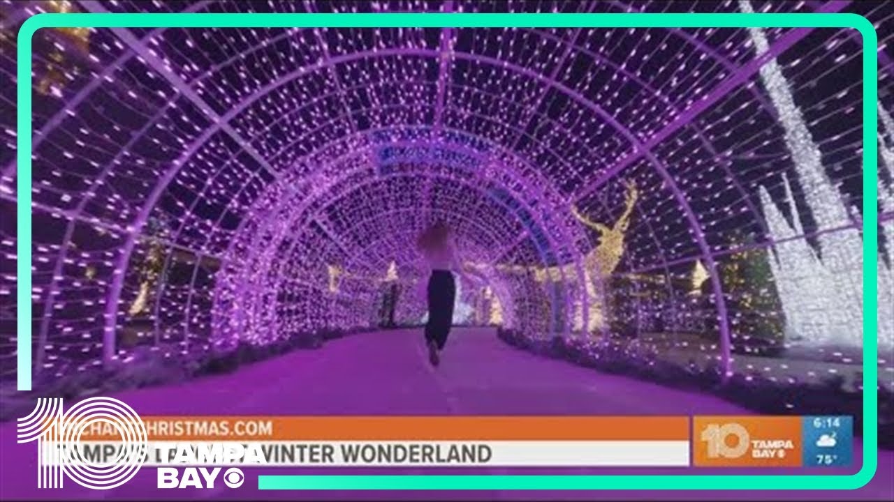 Tampa Bay's immersive Christmas experience "Enchant" opens Friday