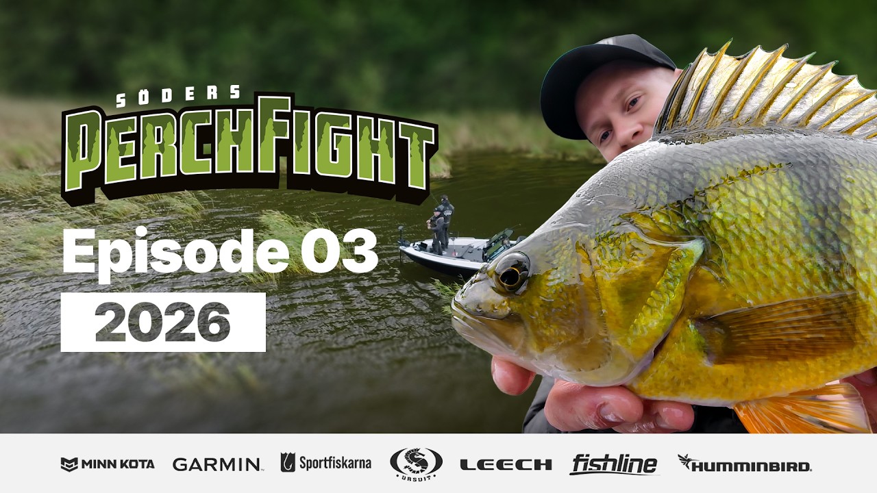 PerchFight 2026 | Episode 3