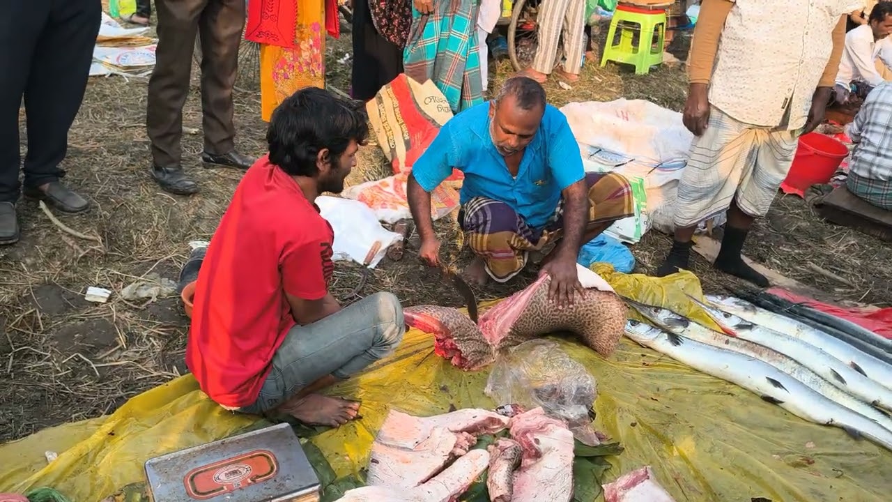 বড় বড় মাছের মেলা #fishing 