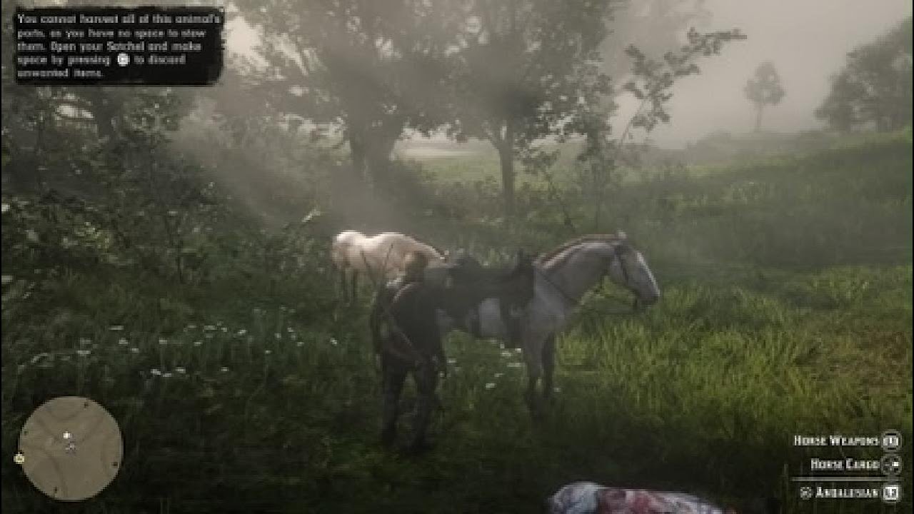 Red Dead Redemption 2_20260212162108