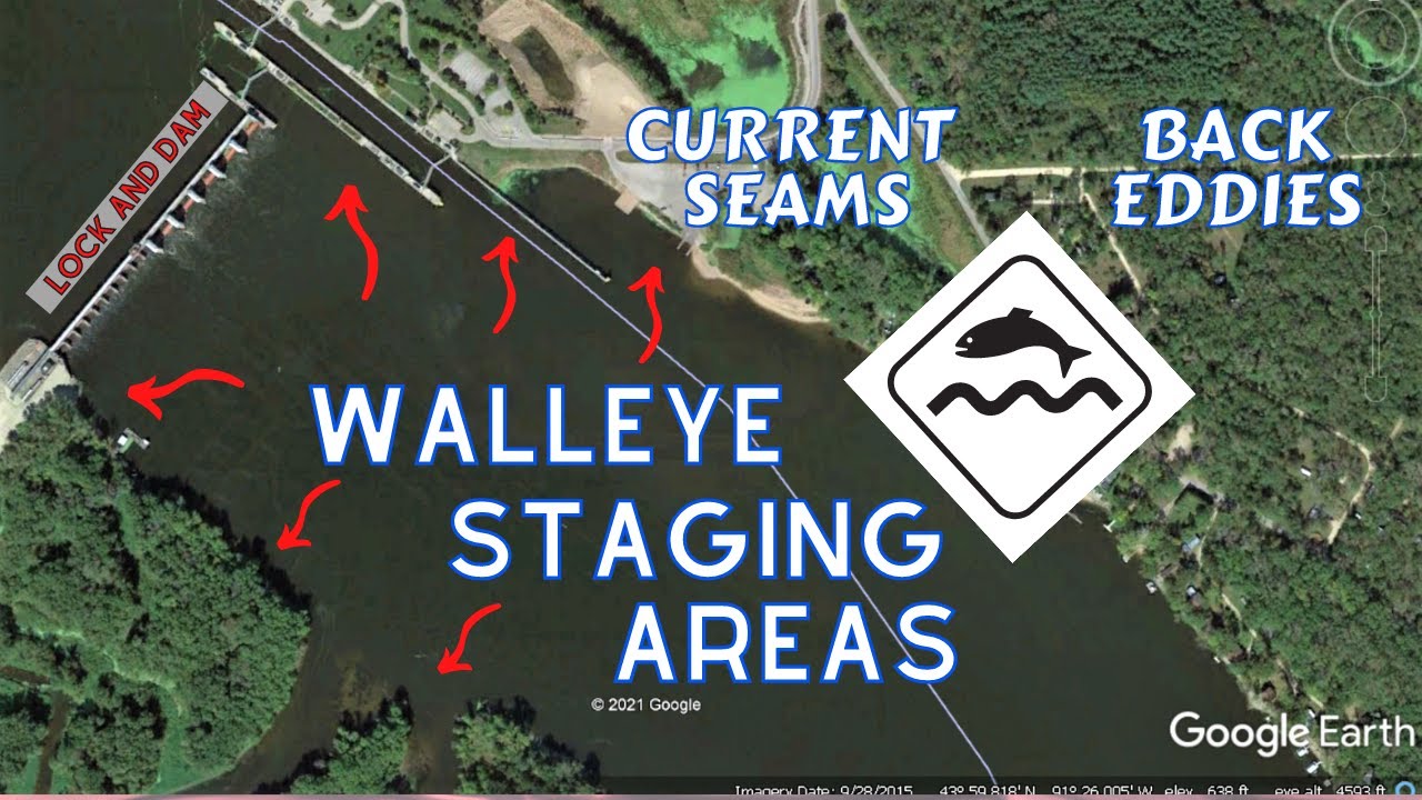 Walleye Staging Locations at a Lock and Dam | Locating Mississippi River Spring Run Walleye