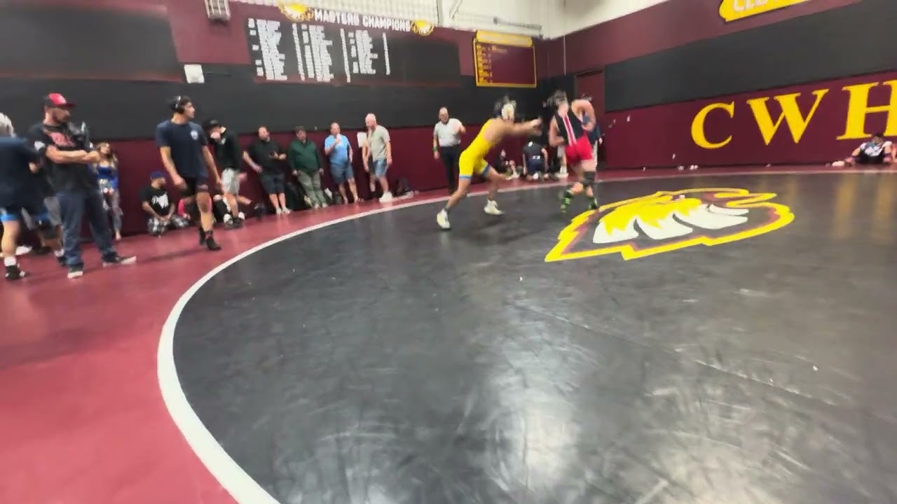 113 lbs Championship Match- Michael Bernabe (Clovis) WBTF 22-6 Benson Tanner (USA Gold) 2/2