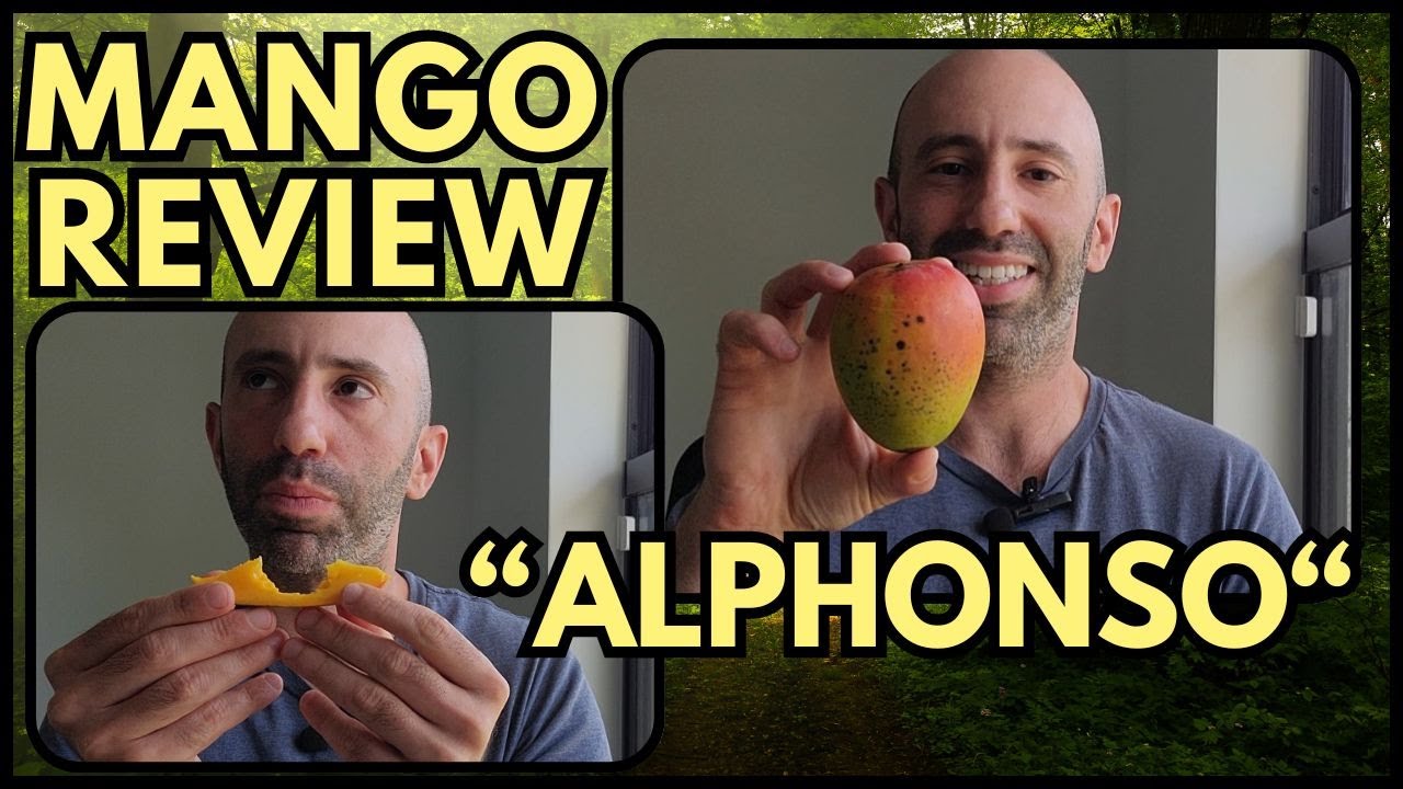 Mango Review: Alphonso! (homegrown in Florida)