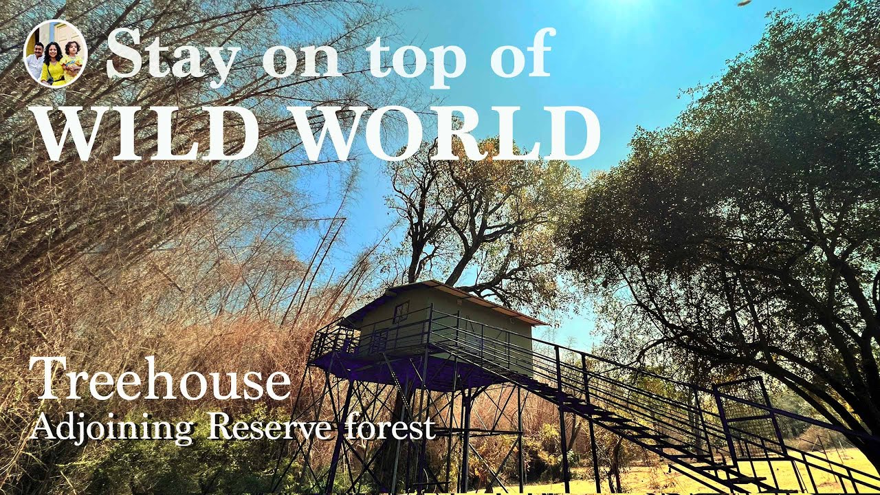 Thrilling Treehouse stay in Tiger reserve | Secret Ivory Resort Masinagudi mudumalai tiger reserve