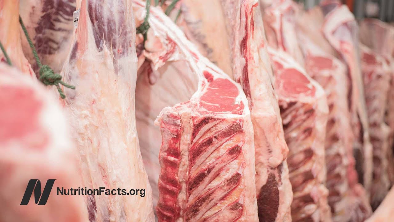 Banning Trans Fat in Processed Foods but Not Animal Fat