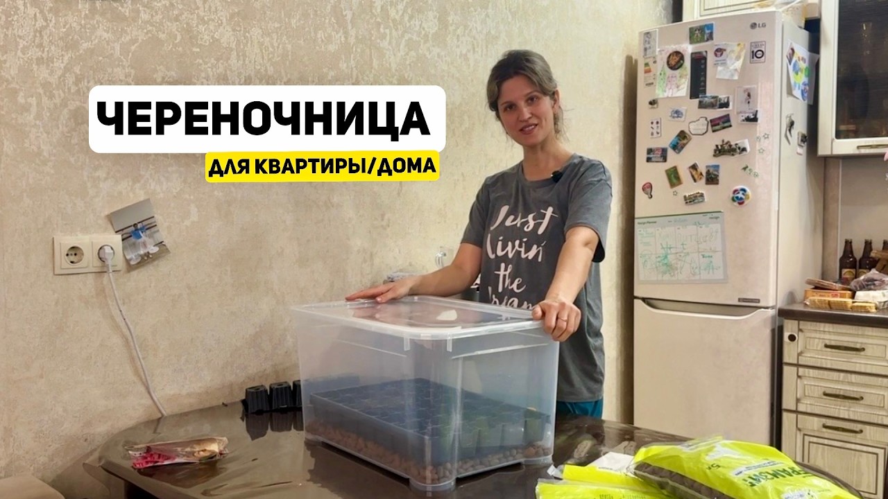 Распаковка с Лемана Про 24.02.2026/ Череночница своими руками для дома