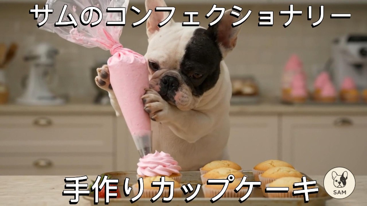 【AI犬】サムくんの小さなケーキ屋さん、今日も開店です｜ブラウニーとカップケーキ 【癒し】