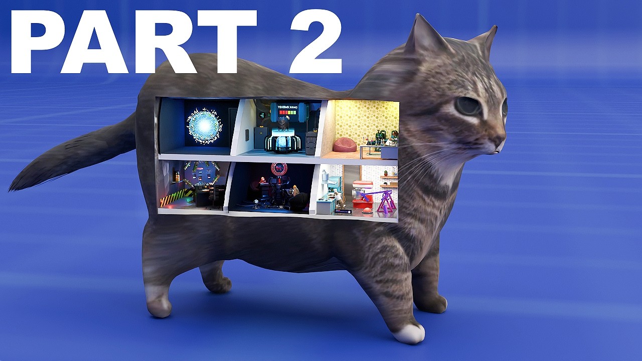 How a cat works part 2