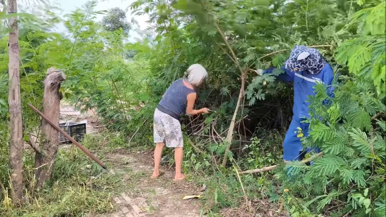 Touched by the kindness of the 80-year-old Woman who helped us clean the sidewalk on a Hot Summer