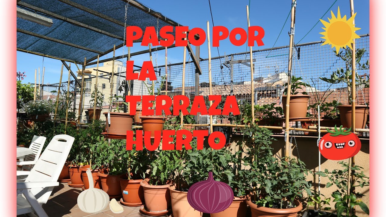 PASEO POR LA TERRAZA HUERTO  1 / LA TERRAZA HUERTO DE ESTEBAN