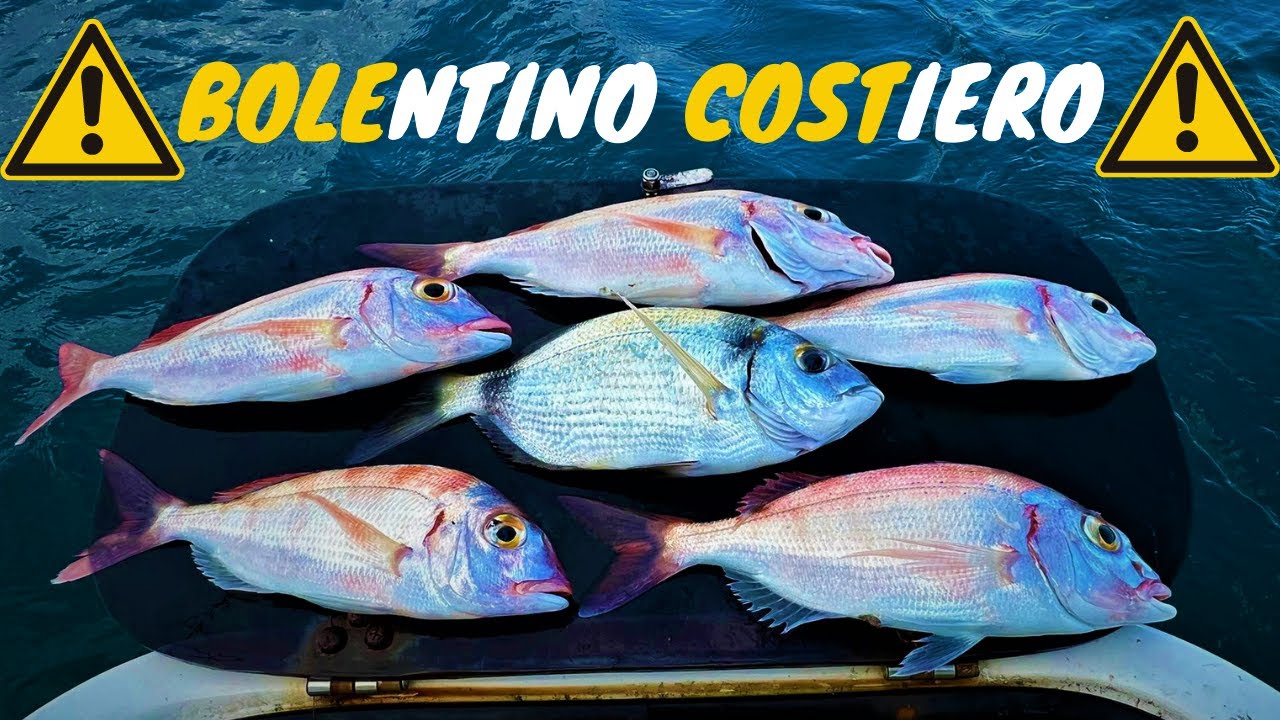 BOLENTINO COSTIERO AI PAGELLI CON I TENTACOLI DELLA SEPPIA