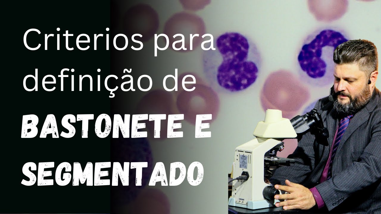 Bastonetes e Segmentados - Critérios de Diferenciação
