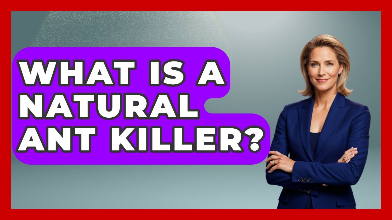 What Is A Natural Ant Killer? - Survival Skills for Everyone