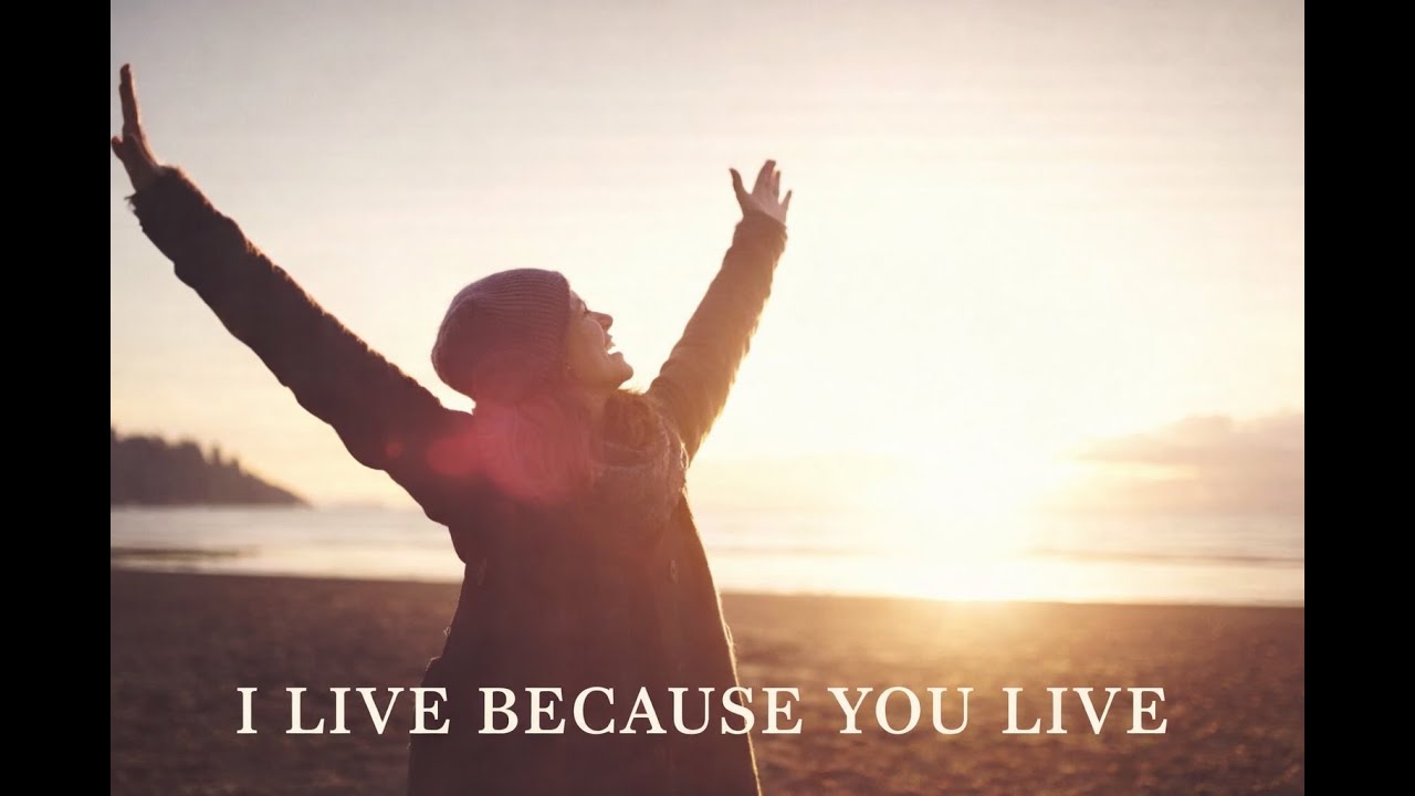 i live because you live - Joe Newman & The Vision