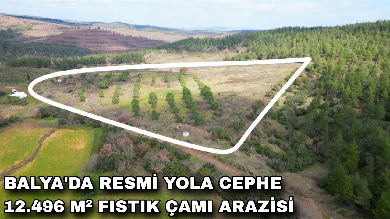 2351- BALYA'DA KÖYE 1 KM MESAFEDE RESMİ YOLA CEPHE 12.496 M² ARAZİ