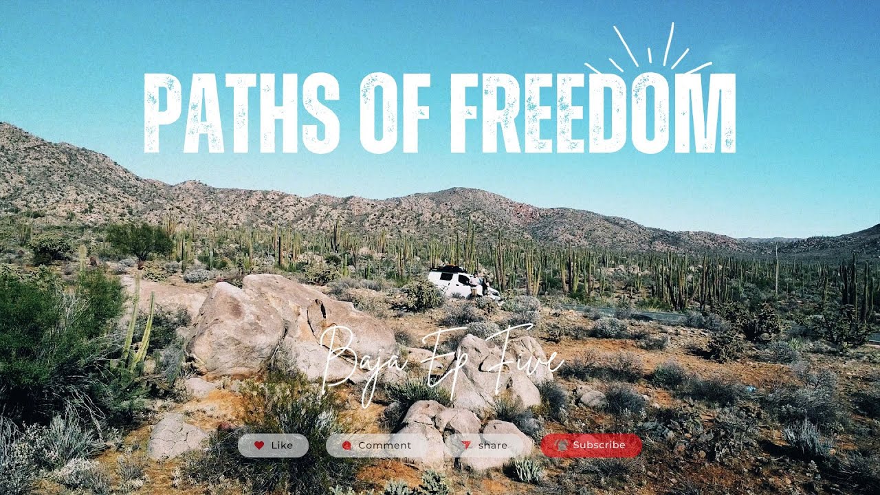 🌵 Episode 5 — Ancient Cactus & Hidden Oases | Baja Sur Van Life 🌵 🚐🌴🐾