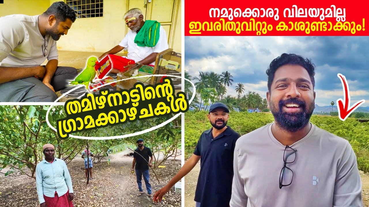 തമിഴ്നാടിന്റെ ​ഗ്രാമക്കാഴ്ചകൾ! | Palakkad to Madhurai | Tamilnadu Villages