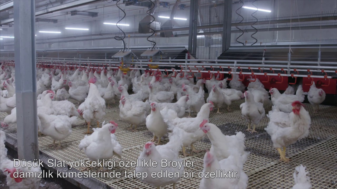 [TR] Tek katlı gübre bandı