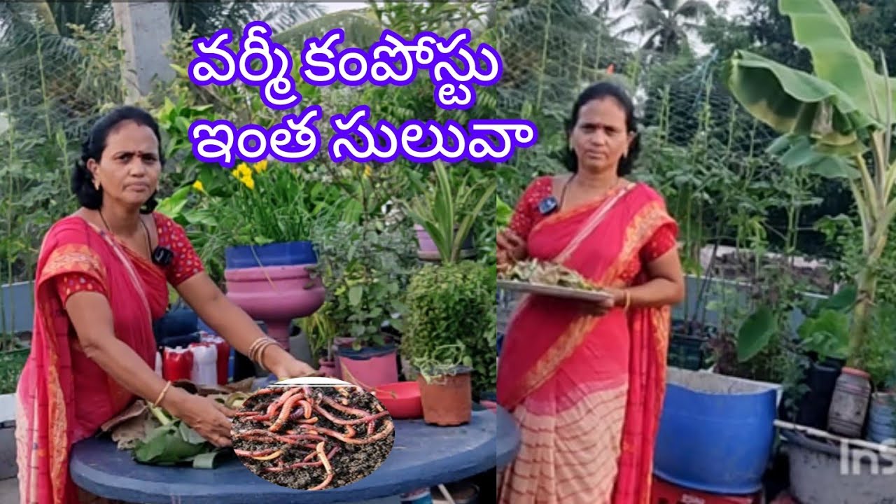 ఇది తెలియక చాలా ఇబ్బందులు పడ్డాము, #వర్మీకంపోస్టు#మాబుజ్జితోటఛానల్ #terracegarden #తెలుగుటైలర్