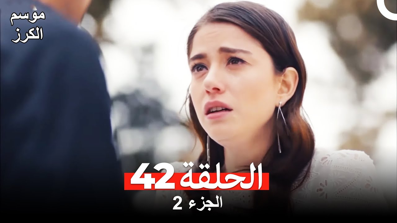 موسم الكرز الحلقة 42 الجزء 2 (مدبلج بالعربية)