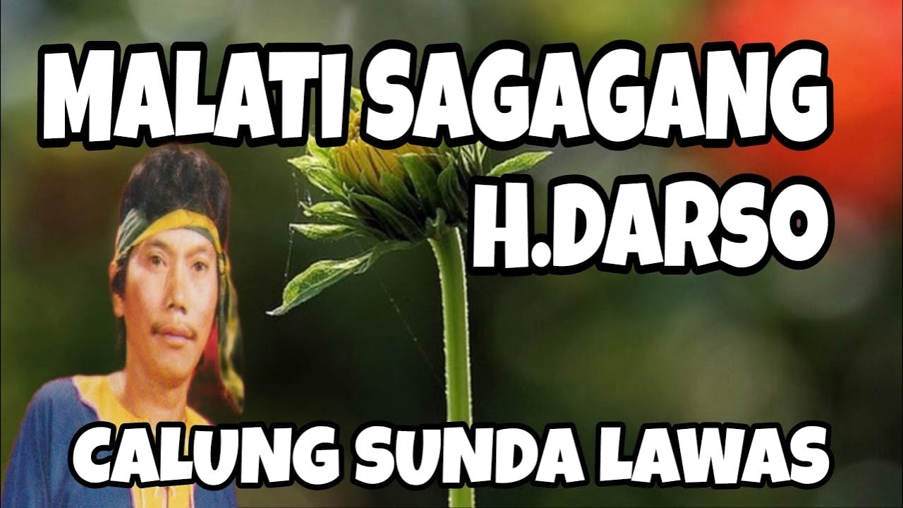 CALUNG DARSO‼️MALATI SAGAGANG
