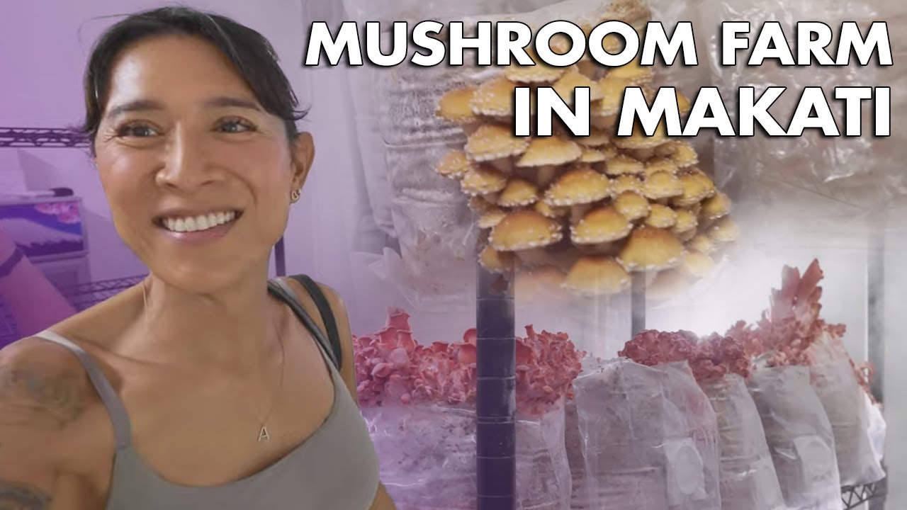 MUSHROOM FARM in Makati (Tour) | Angie Mead King