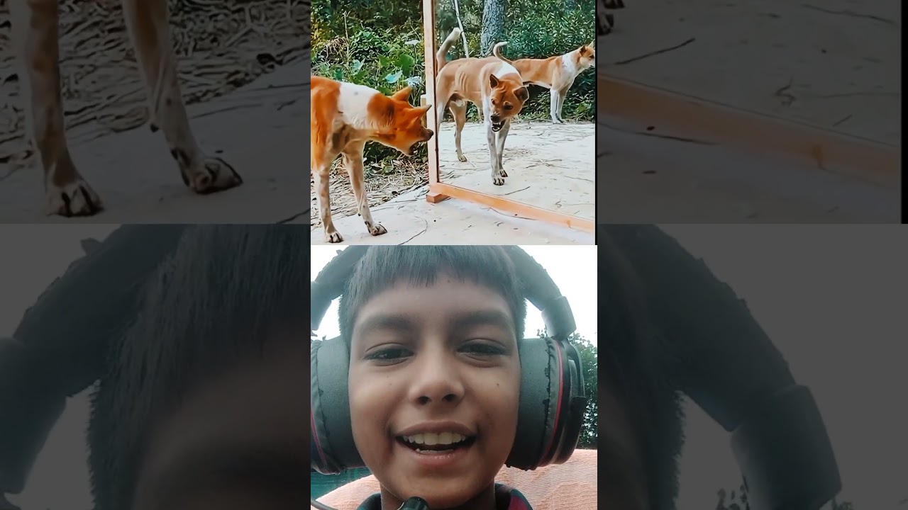 FUNNY  SHORT REACTION VIDEO #funny #ffreaction #shorts