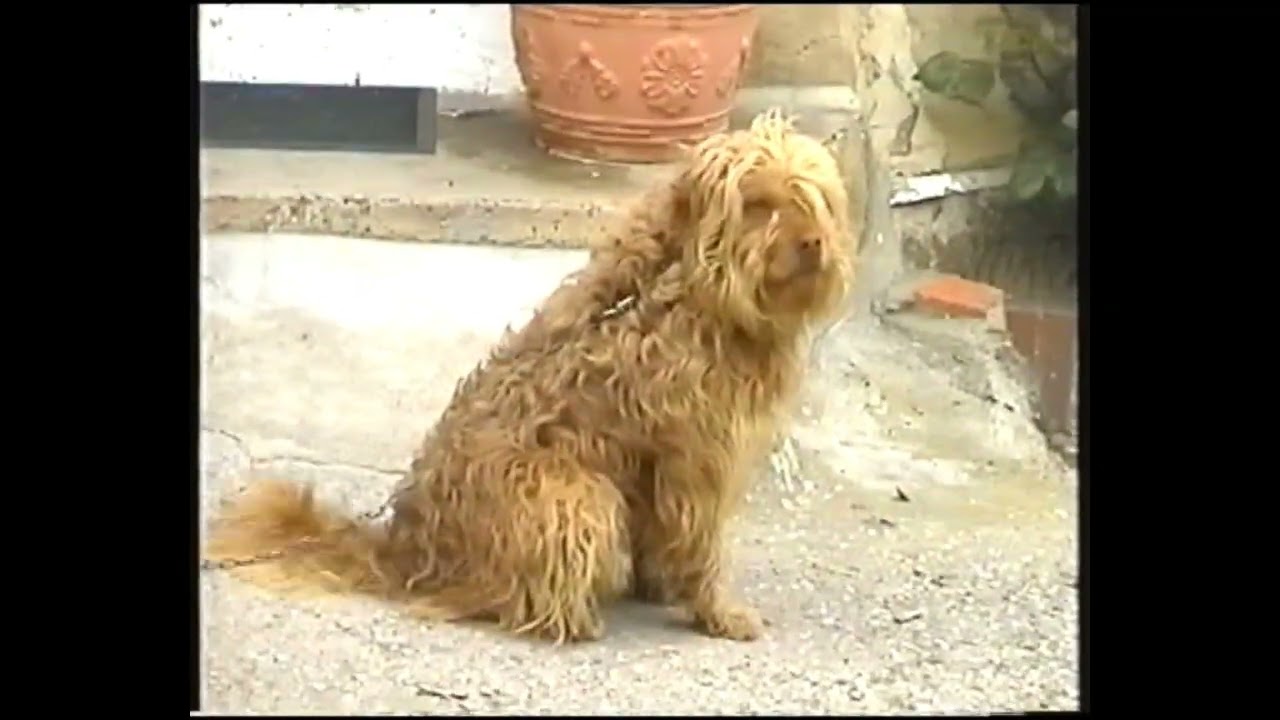 Polientes (Valderredible, Cantabria) en abril de 2001
