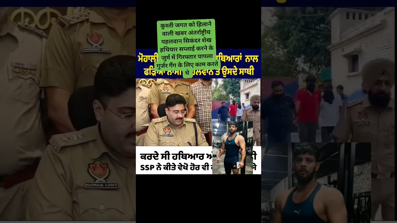 Sikander Sheikh arrested  Weapon 🔫 supply in Mohali Punjab#ytshorts #wrestling