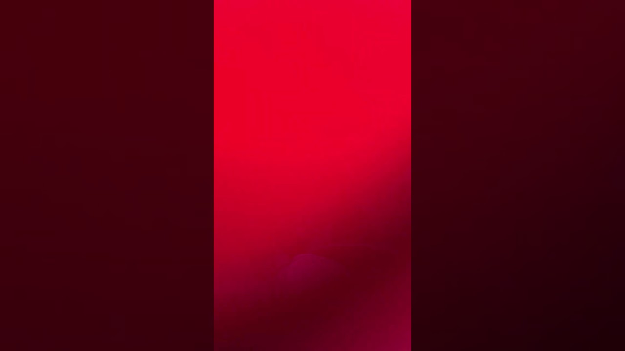 March 7 2026 (intro)