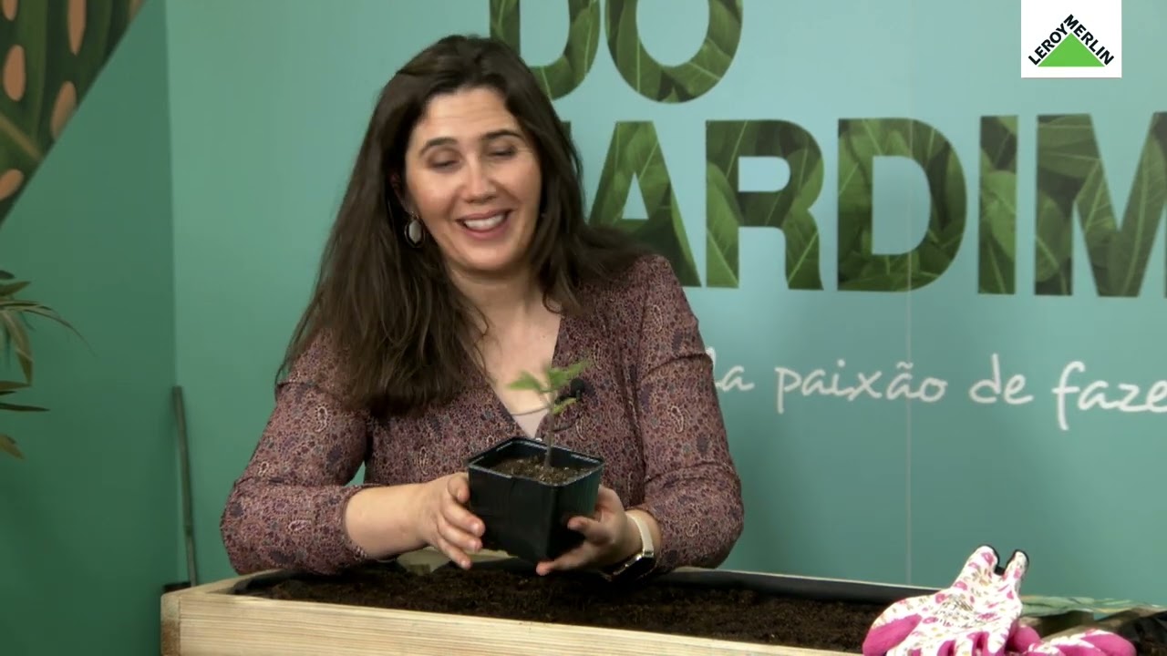Crio a minha horta biológica, com a Susana Caseiro - Workshop da Casa | LEROY MERLIN